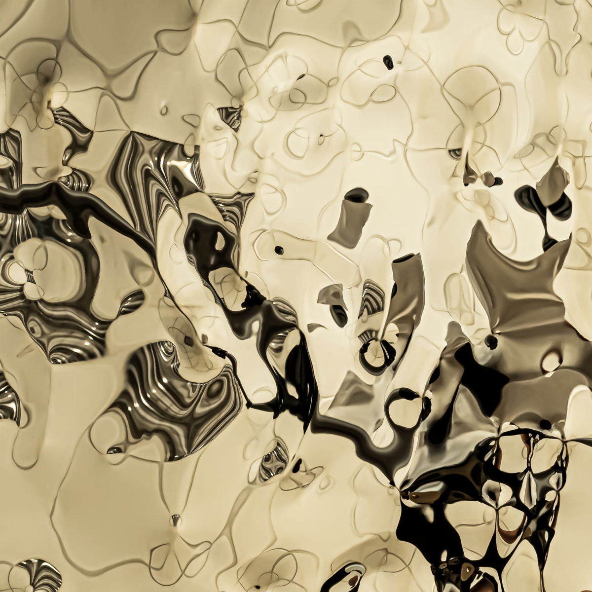 STORM L CHAMPAGNE.jpg