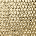 MIELE B CHAMPAGNE.jpg